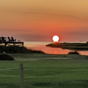 Meet your Posher, Helene